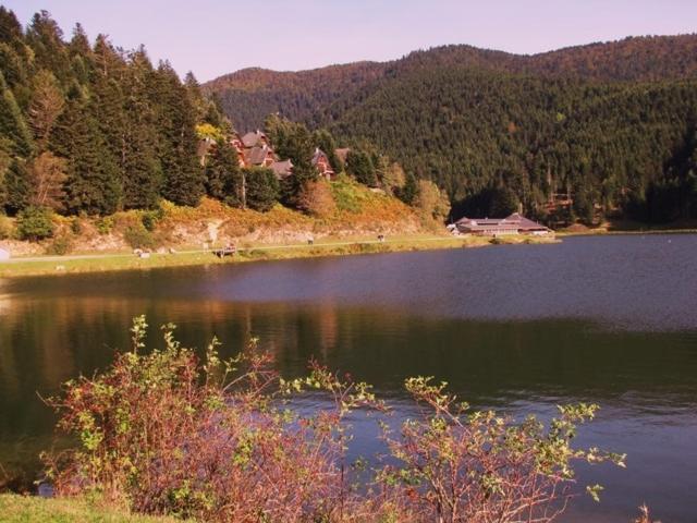 Gite Du Montagnol A Payolle Sainte-Marie-de-Campan Exteriér fotografie