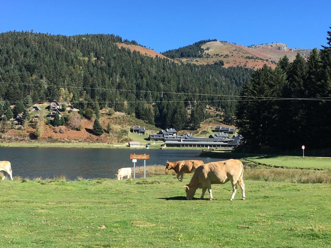 Gite Du Montagnol A Payolle Sainte-Marie-de-Campan Exteriér fotografie